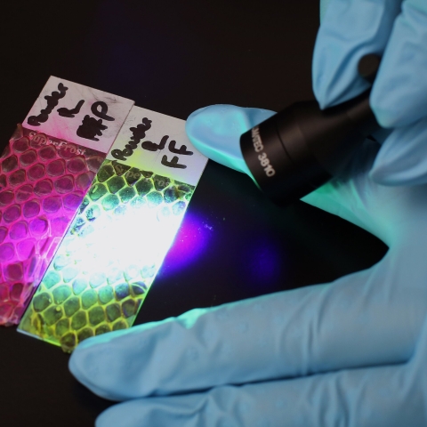 Close up of gloved hands examining crime evidence with torch