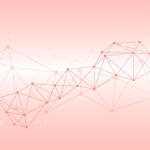 Nodes within a neural network
