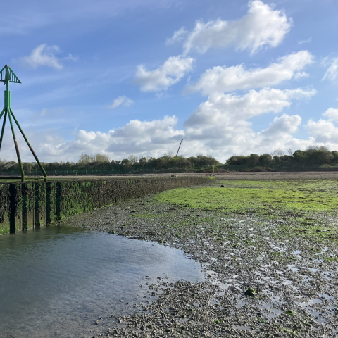 Budd's Farm wastewater pipe