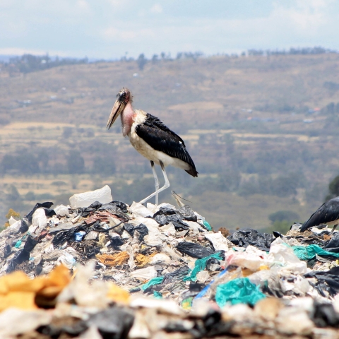 Revolution Plastics team obtained these images for research.
YOU MUST CREDIT James Wakibia