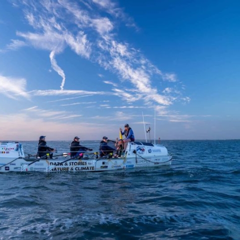 Six rowers rowing on the ocean