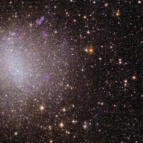 Euclid's first images: the dazzling edge of darkness