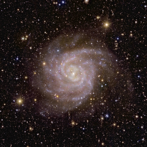 Euclid's view of a spiral galaxy