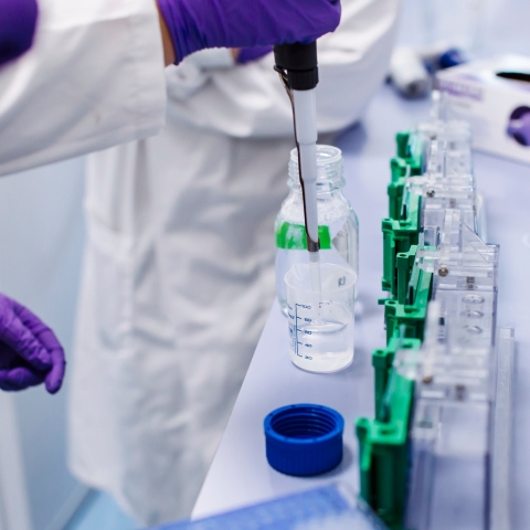 16th & 17th January 2019
Centre for Enzyme Innovation Bid