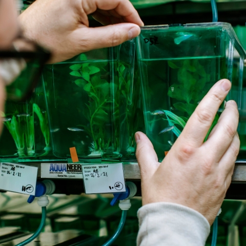 Ringfenced for Alex Ford's research project on pollution and shrimp sperm count