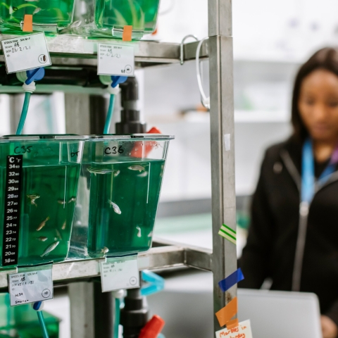 Ringfenced for Alex Ford's research project on pollution and shrimp sperm count