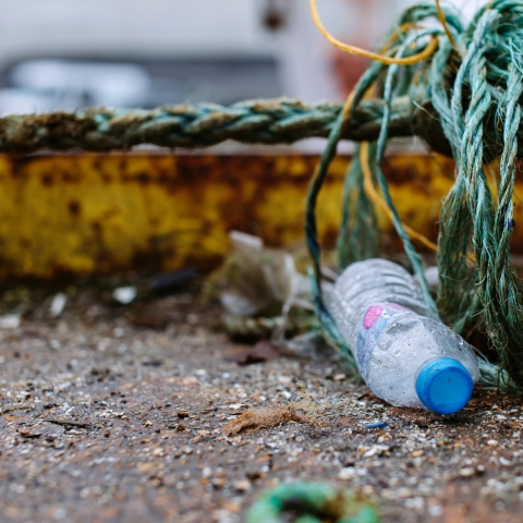 Plastic bottle caught in waste