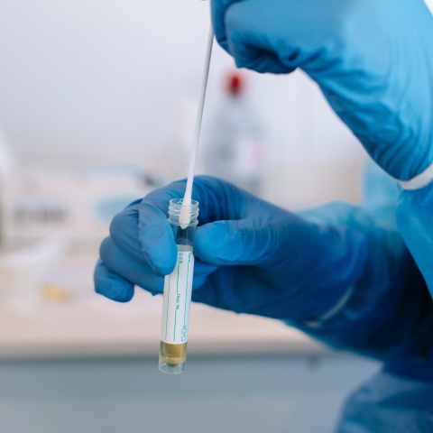 Person wearing blue gloves conducting covid-19 testing