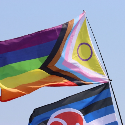 FOR UOP USE ONLY
Portsmouth Pride Event