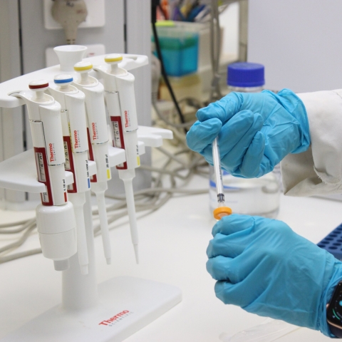 Staff Submission. Watermarked due to quality control, please inspect before using for print.