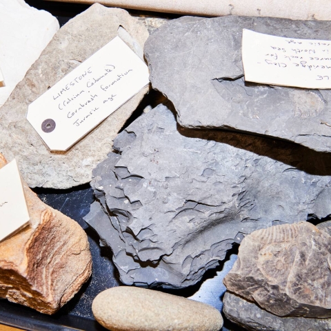 Rock sample for school of earth and environmental sciences