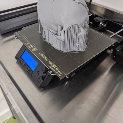 3D printed skull