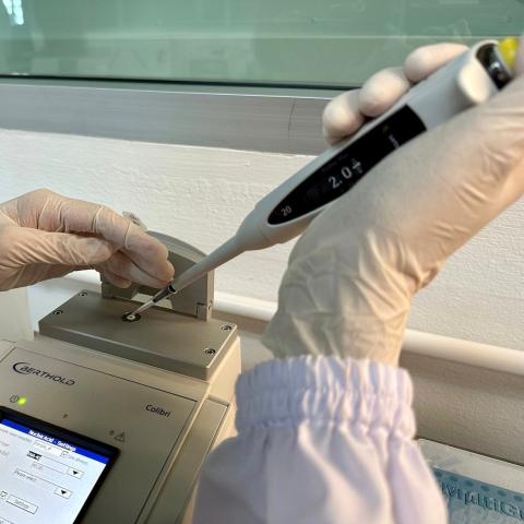 hydroguinine in the lab