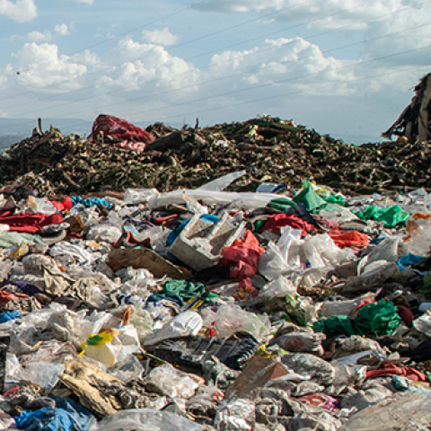 Photo by James Wakibia