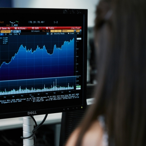 Person looking at a graph on a computer screen