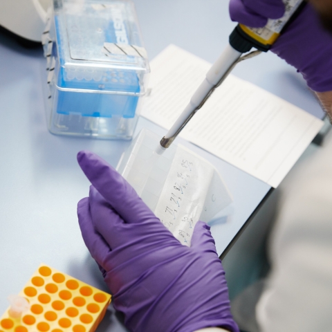 RIS Photoshoots; June 2019