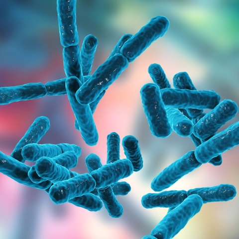 Microbiome rendering