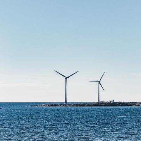 World Ocean Day - Photo by Mary Ray on Unsplash