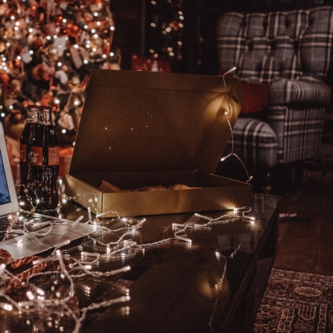 Home Alone- Photo by Alsu Vershinina on Unsplash