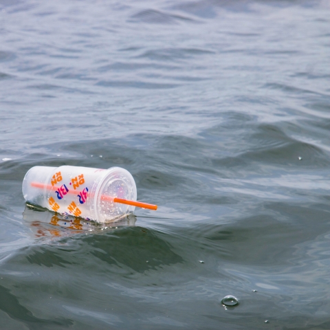 Single-use plastic in ocean - Photo by Brian Yurasits on Unsplash