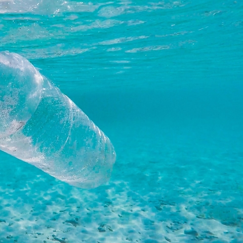 UNSPLASH STOCK PHOTOGRAPHY - FREE TO USE UNDER THE UNSPLASH LICSENSE.