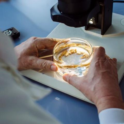 PhD student Harry Austin in the lab
