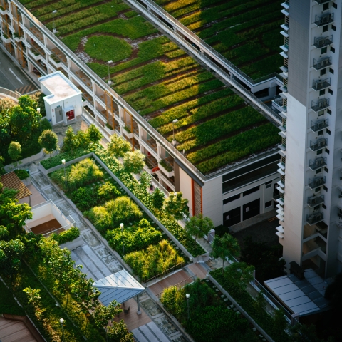 Urban areas - Photo by CHUTTERSNAP on Unsplash