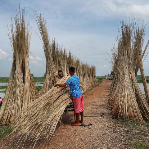 Men tending to large pile of hay in Asia