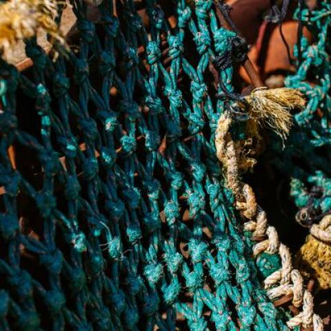 Fishing nets