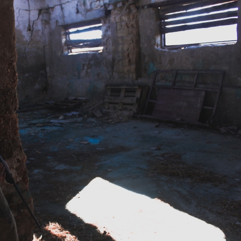 The Last of Us - Photo by James Kovin on Unsplash