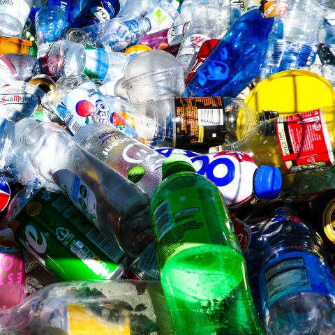 Discarded plastic bottles