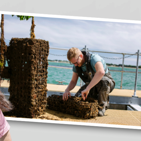 A student smiling in front of stylized Portsmouth landmarks.