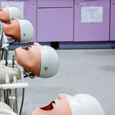 University of Portsmouth Dental Academy dentistry models