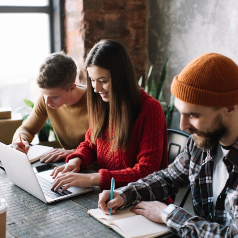 STANDARD LICENSE; PLEASE SEE ADDITIONAL ASSET FOR FULL LICENSE TERMS.