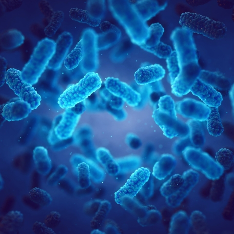 STANDARD LICENSE; PLEASE SEE ADDITIONAL ASSET FOR FULL LICENSE TERMS.