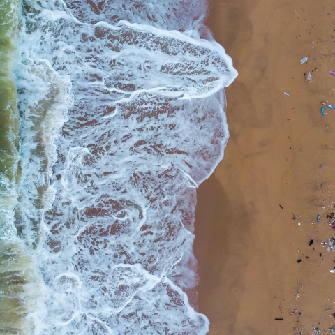 STANDARD LICENSE; PLEASE SEE ADDITIONAL ASSET FOR FULL LICENSE TERMS.