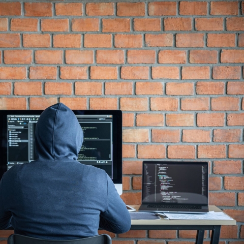 Back of person wearing a hoodie working on a laptop