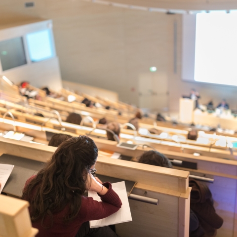 STANDARD LICENSE; PLEASE SEE ADDITIONAL ASSET FOR FULL LICENSE TERMS.