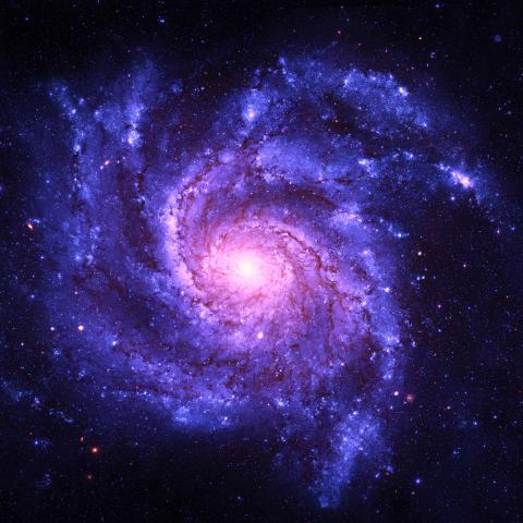 Spiral Galaxy