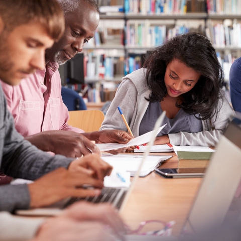 STANDARD LICENSE; PLEASE SEE ADDITIONAL ASSET FOR FULL LICENSE TERMS.