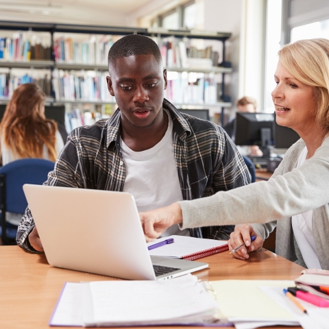 STANDARD LICENSE; PLEASE SEE ADDITIONAL ASSET FOR FULL LICENSE TERMS.