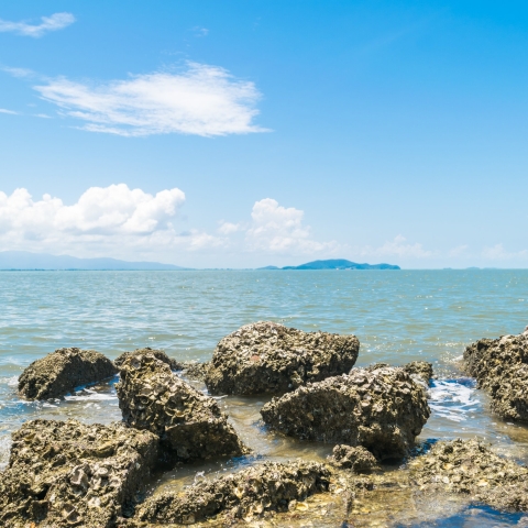 STANDARD LICENSE; PLEASE SEE ADDITIONAL ASSET FOR FULL LICENSE TERMS.