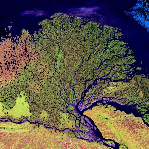 Satelite image of the Lena Delta Reserve in Siberia, the colours of the blue water and green land appear vivid as if enhanced