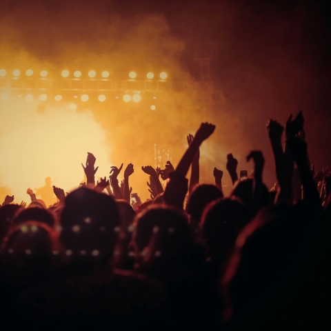 Crowd at music concert