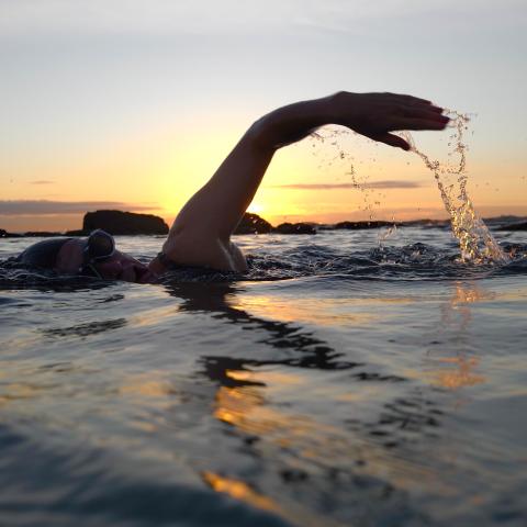 Wild swimming stock image