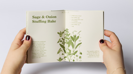 an book being held open by hands about sage - book by Alexandra Izzard