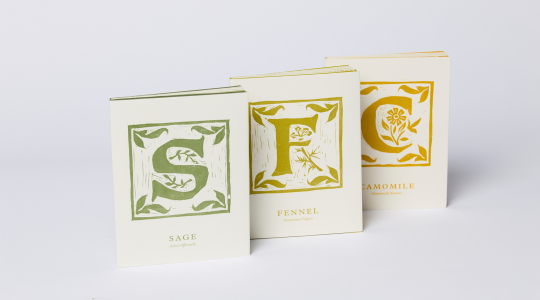 3 books in a row - each with a big letter on the front - S, F & C - by alexandra izzard