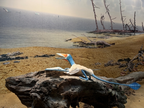 Reconstruction of an Early Jurassic habitat 