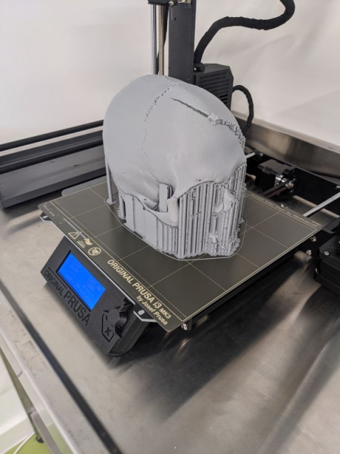 3D printed skull
