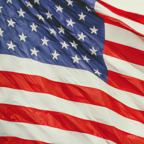 USA Flag